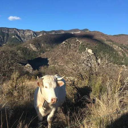 Clot De Felines Entrevaux