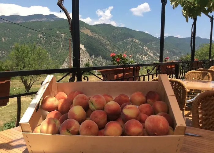 Clot De Felines דירה *